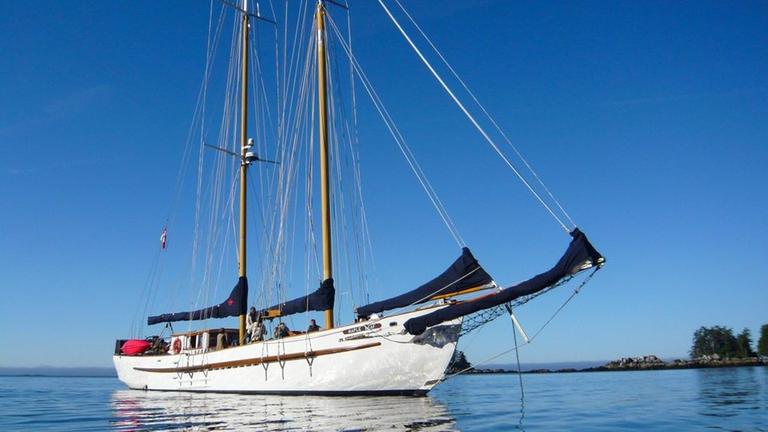 Die "Maple Leaf", ein 110 Jahre alter Segelschoner, cruist an der kanadischen Pazifikküste.