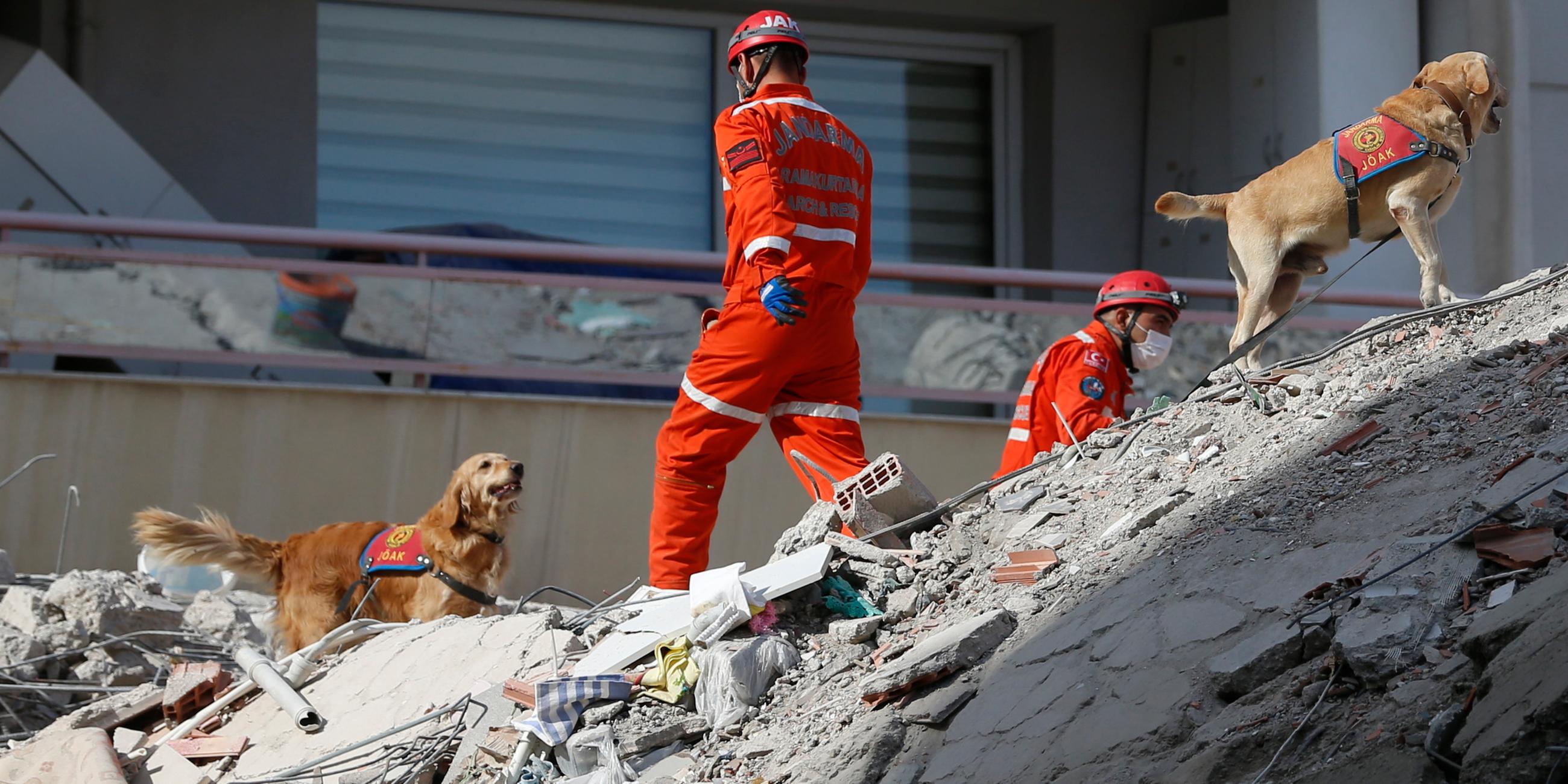Helfen suchen mit Hunden nach Überlebenden in den Trümmern des Erdbebens