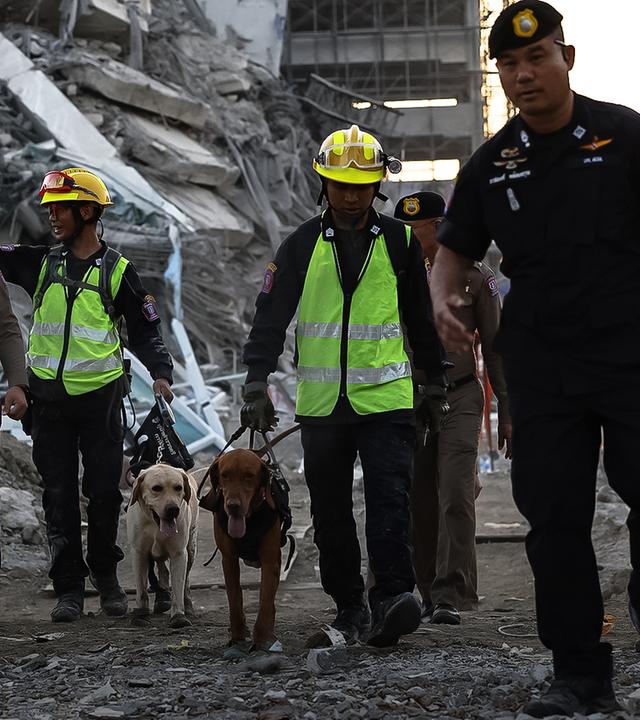 Menschen durchsuchen Trümmer, die durch ein Erdbeben enstanden.