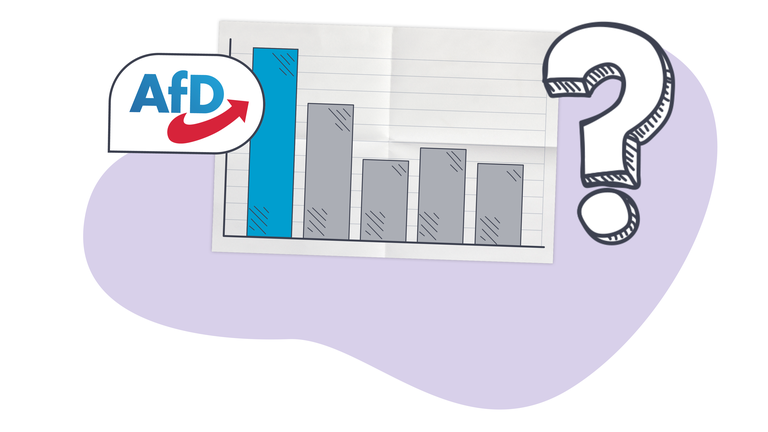 Der Erfolg der AfD