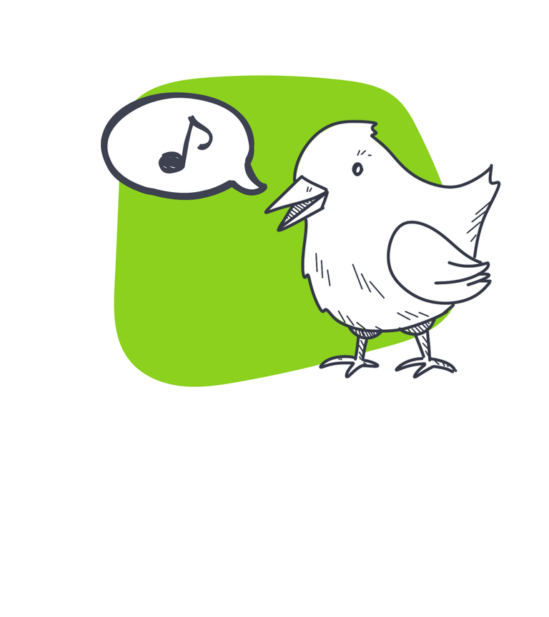 Warum zwitschern Vögel?