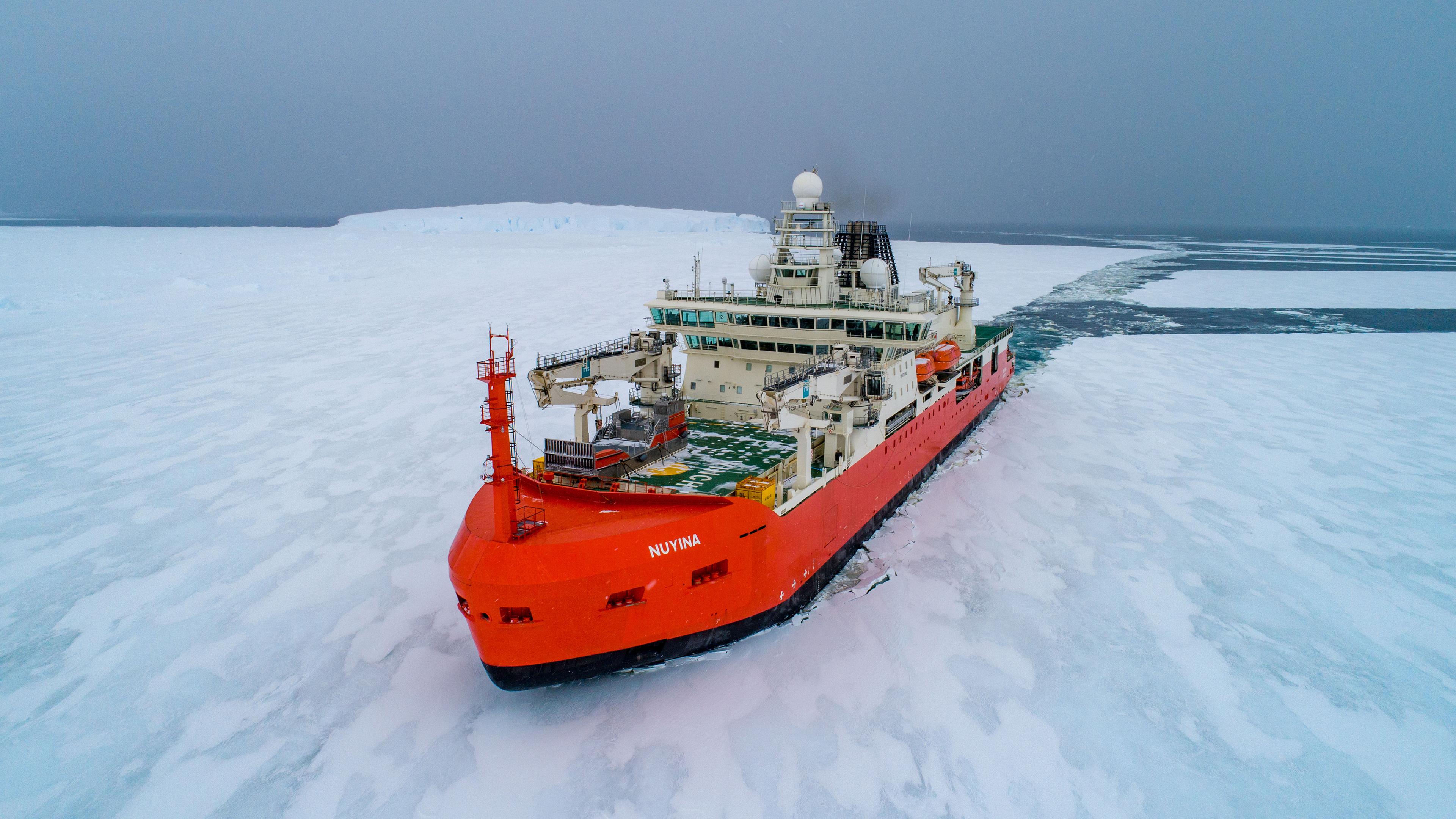 Antarktis: Das Bild zeigt den Eisbrecher "RSV Nuyina".