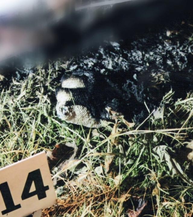 "Ermittler! - Brandspuren": Ein verbrannter Handschuh auf dem Gras mit einem Schild versehen, auf dem die Zahl "14" steht.