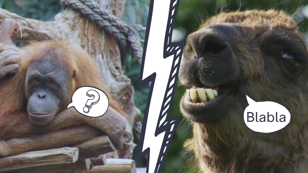 erzaehl-einen-witz-tag-aufruf