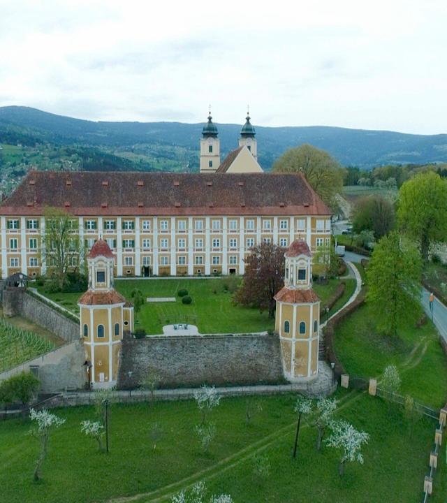 Das Bild zeigt das Schloss Stainz, ein historisches Gebäude in der Steiermark, Österreich. Es hebt sich durch seine gelbe Fassade mit weißen Fensterrahmungen und ein rotes Ziegeldach hervor. Vor dem Schloss befinden sich zwei identische Türme mit runden Dächern, die farblich zur Fassade passen. Der Garten vor dem Schloss ist gepflegt und enthält einige Bäume und Sträucher.  Im Hintergrund erstrecken sich sanfte Hügel und Landschaften mit Weinreben, die in Reihen angeordnet sind. Die Umgebung wirkt grün und ländlich, passend zu einer ruhigen ländlichen Idylle. Ein Weg verläuft durch die Szene und führt in Richtung des Schlosses sowie in die umgebenden Felder. Der Himmel ist bewölkt, was auf wechselhaftes Wetter hindeutet.   Insgesamt vermittelt das Bild einen Eindruck von historischer Architektur in einer naturschönen Umgebung.