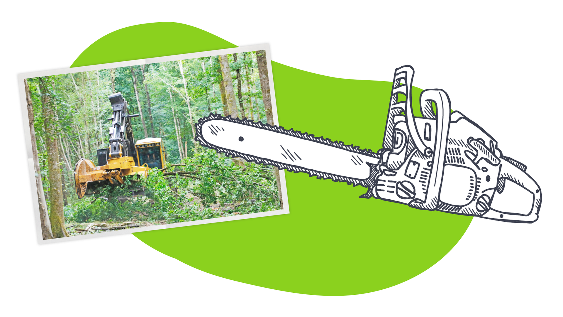 Gründe für Entwaldung