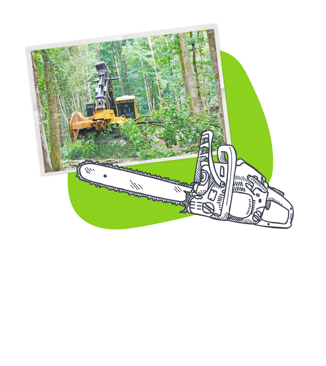 Gründe für Entwaldung