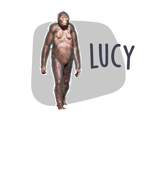 Grafik Frühmensch Lucy