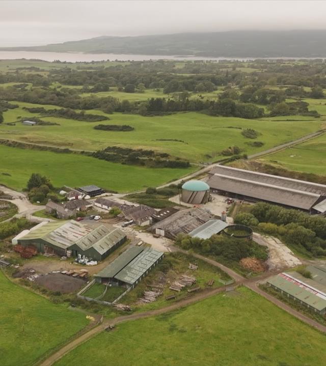 Ethische Milchfarm in Schottland