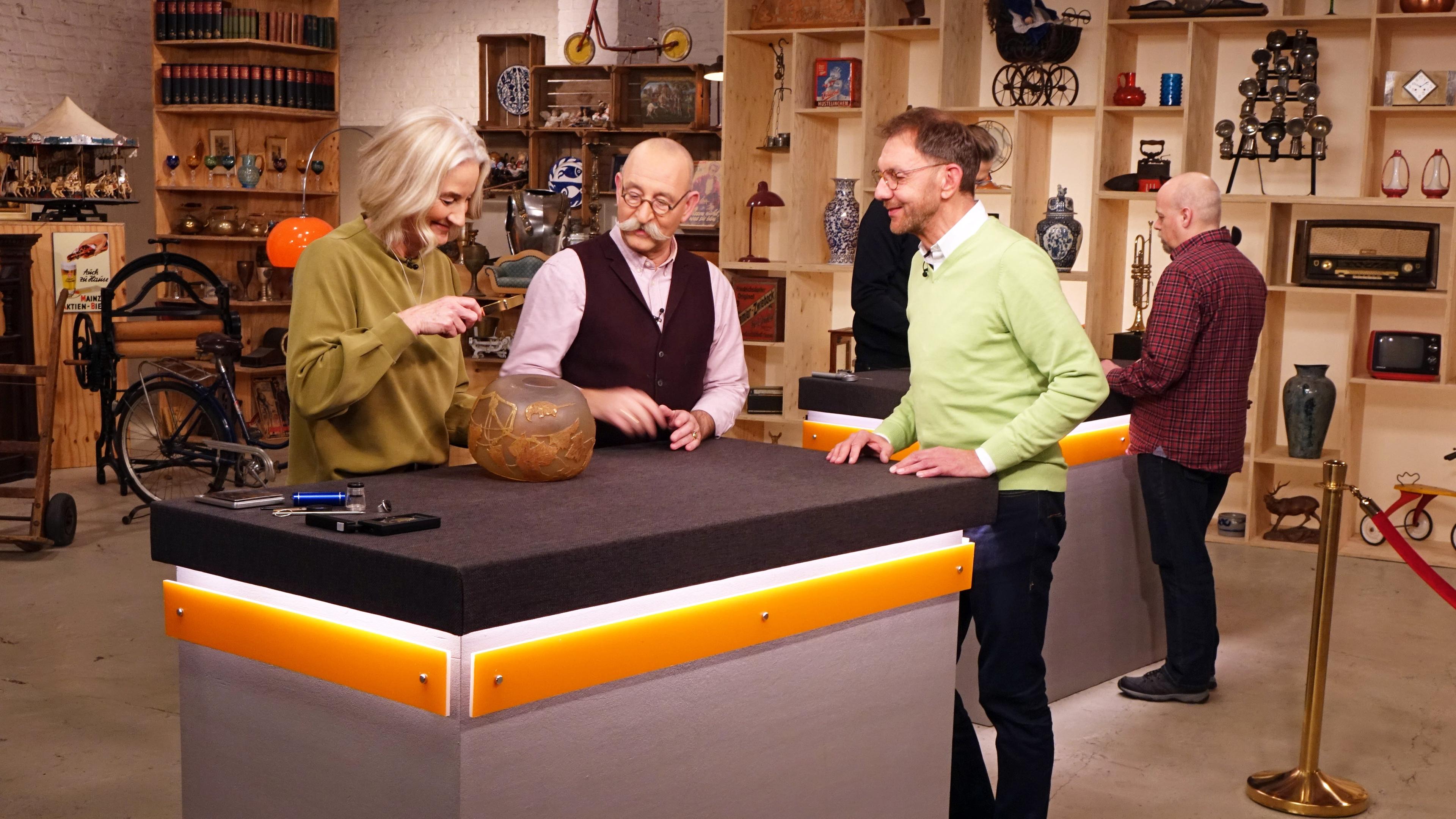 Expertise von Dr. Friederike Werner