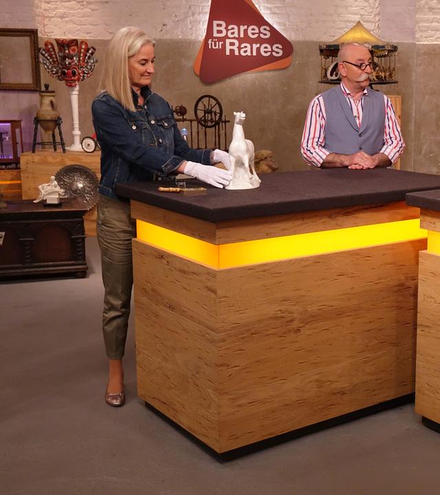 Expertise von Dr. Friederike Werner