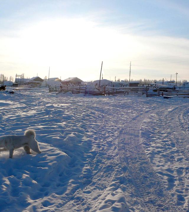 Oimjakon hält mit minus 71,1 Grad Celsius den Weltrekord