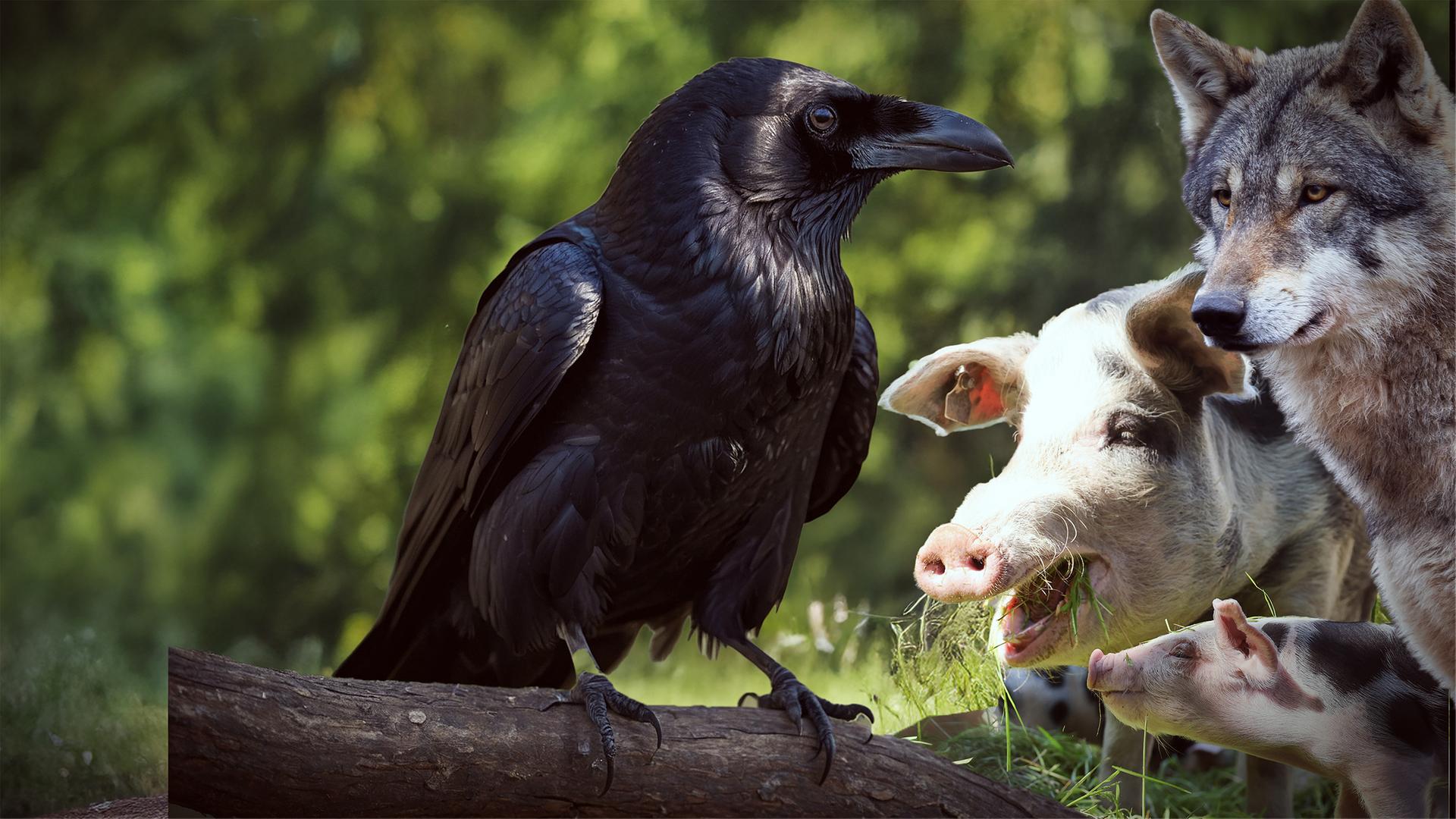 Fabelhafte Artgenossen