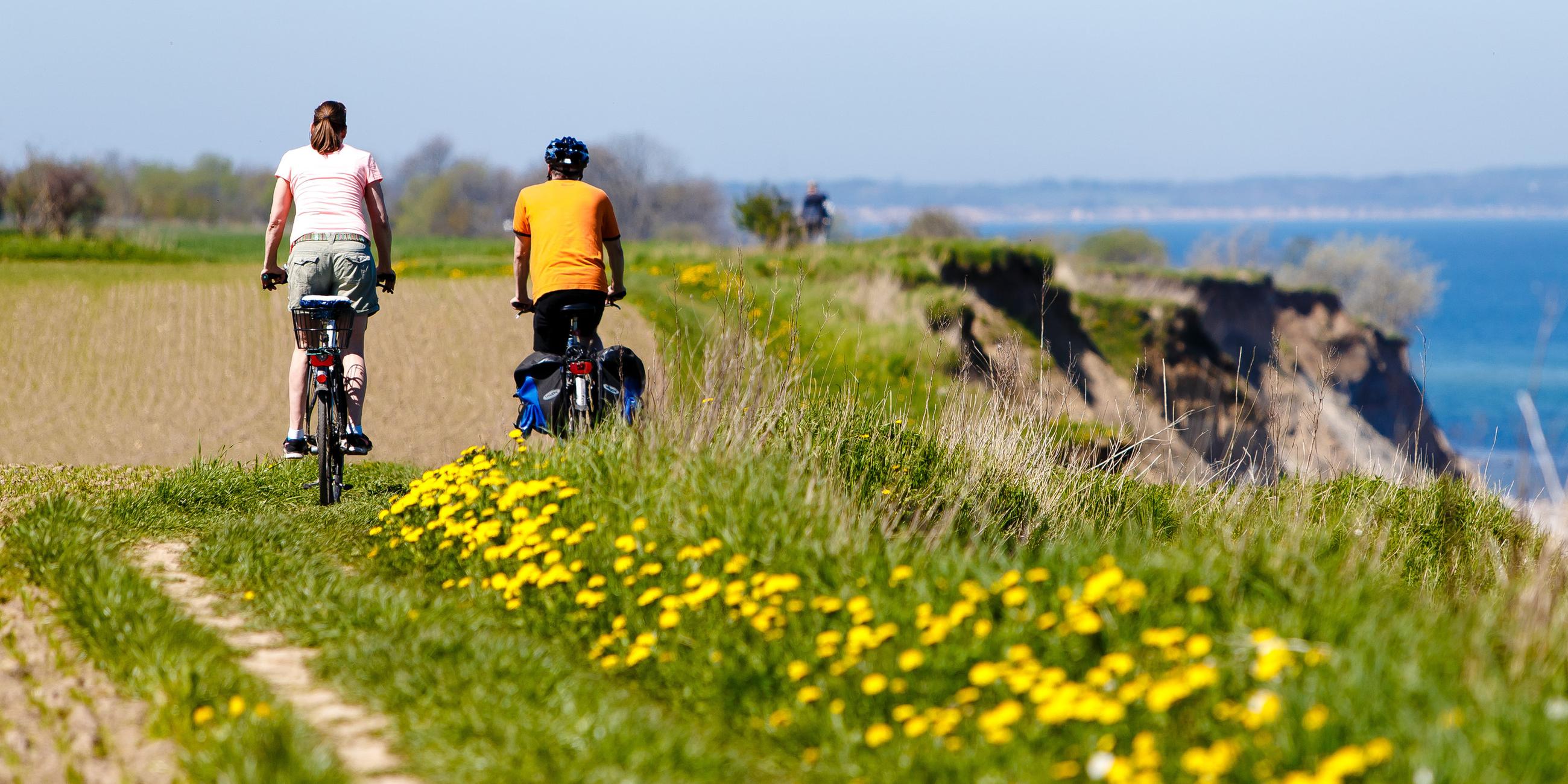 Schleswig-Holstein, Schwedeneck: Zwei Fahrradfahrer fahren bei schönem Wetter entlang der Steilküste an der Ostsee.