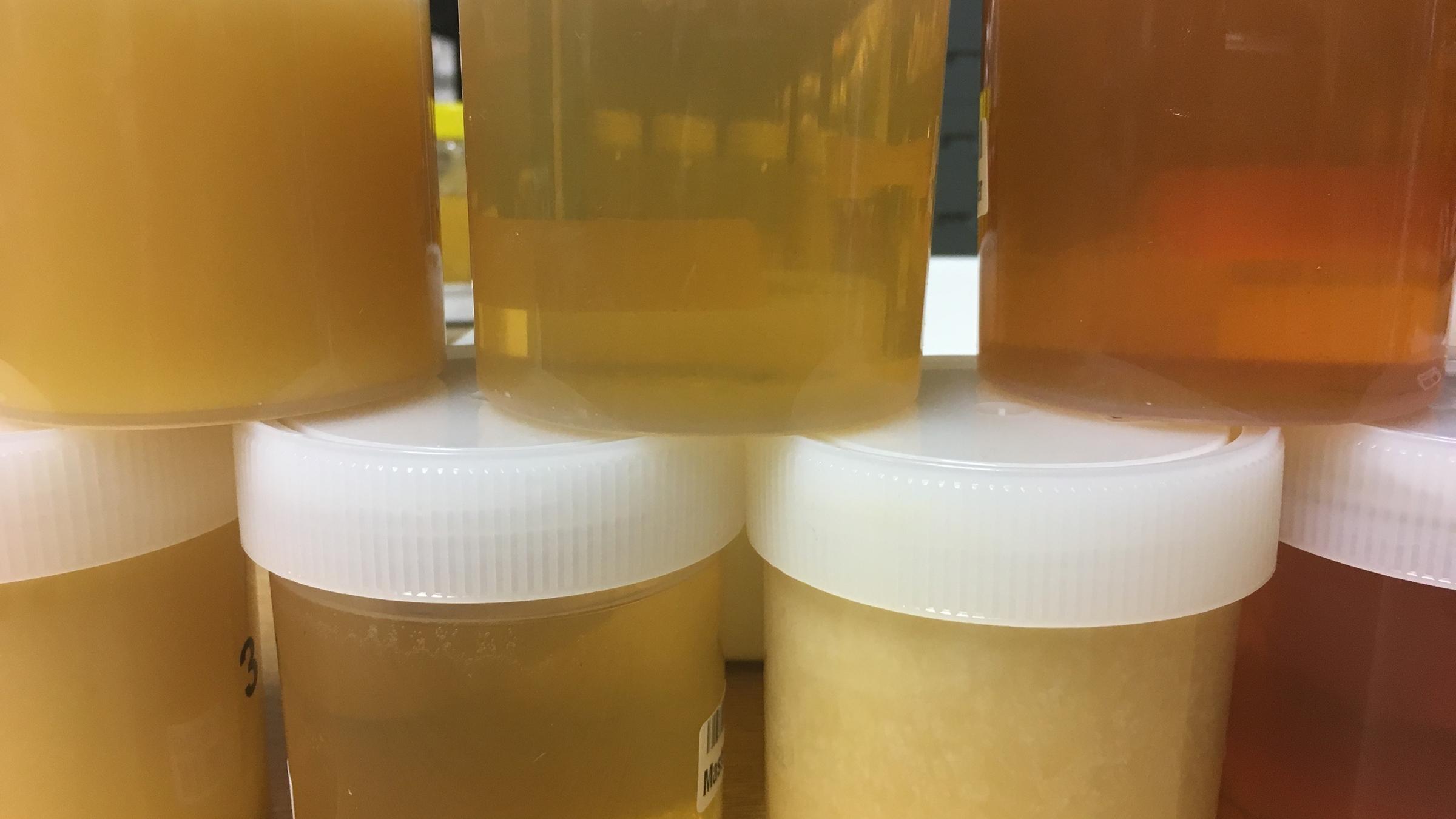 "Fake Food - Die Tricks der Lebensmittelfälscher": Mehrere Gläser mit Rückstellproben von Honigen verschiedener Sorte und Herkunft stehen neben- und aufeinander.