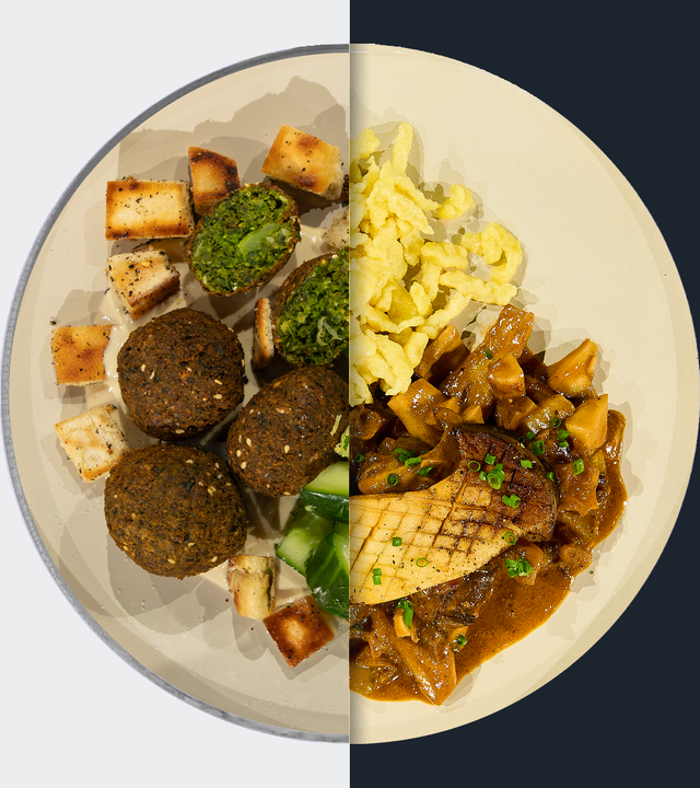 Falafel mit Pita-Chips vs. Pilz-Stroganoff