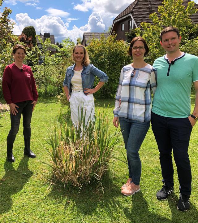 Familie Springhub (rechts) in ihrem Garten, mit Moderatorin Eva Brenner (Mitte) und den Gartenprofis Nicole Johag und Frank Riese (links).