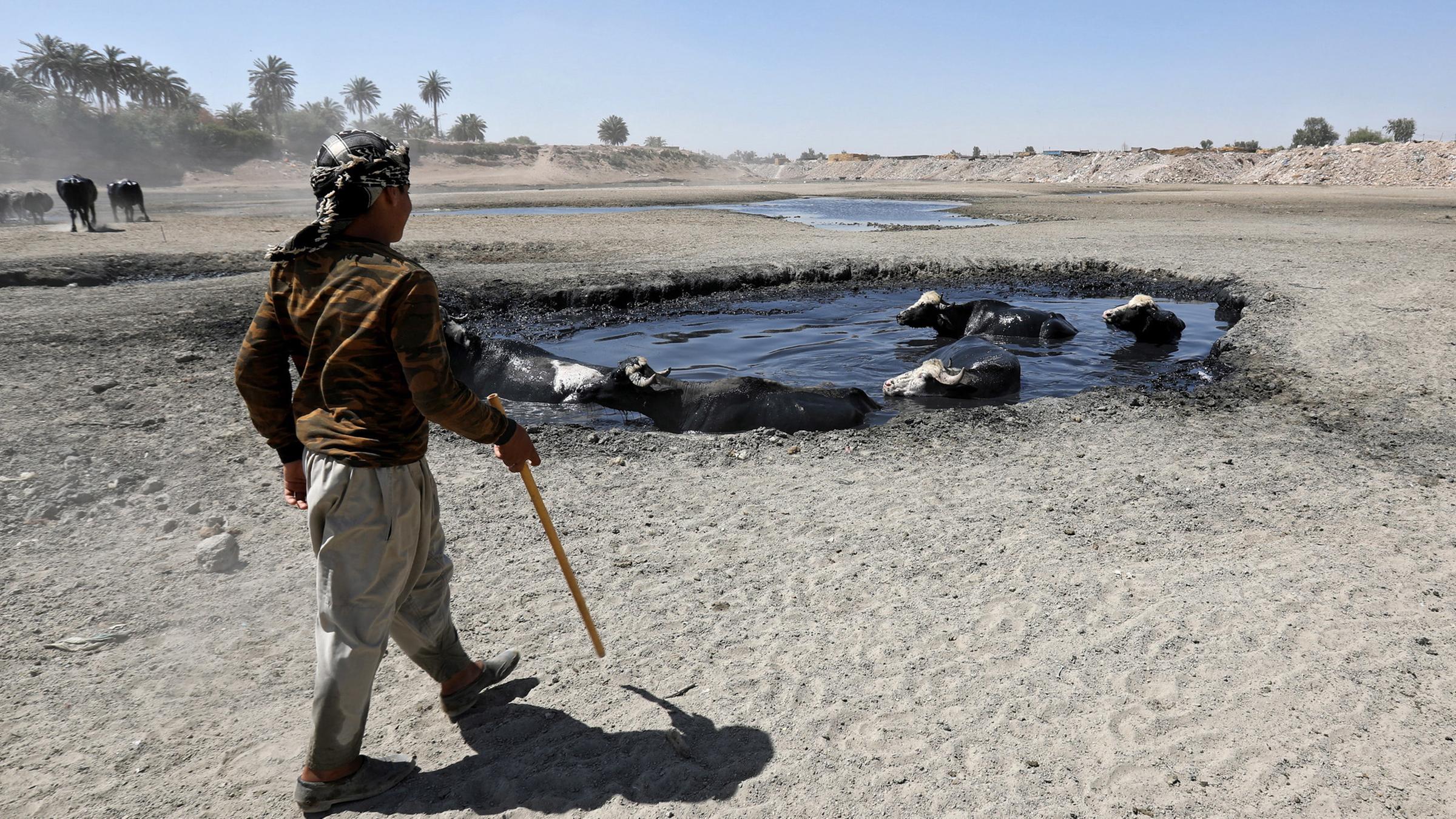 Fast ausgetrocknetes Flussbett im Irak