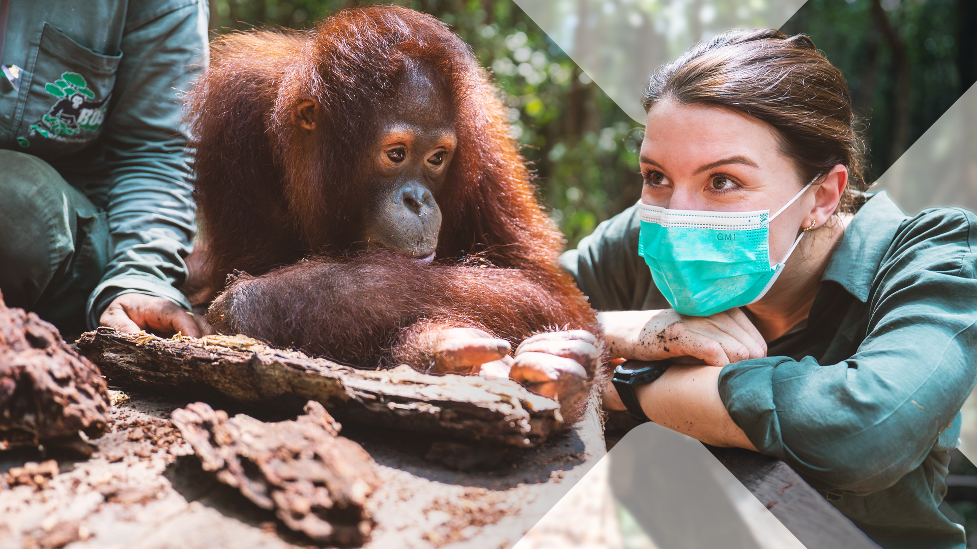 Hannah Emde mit Mundschutz neben Orang Utan