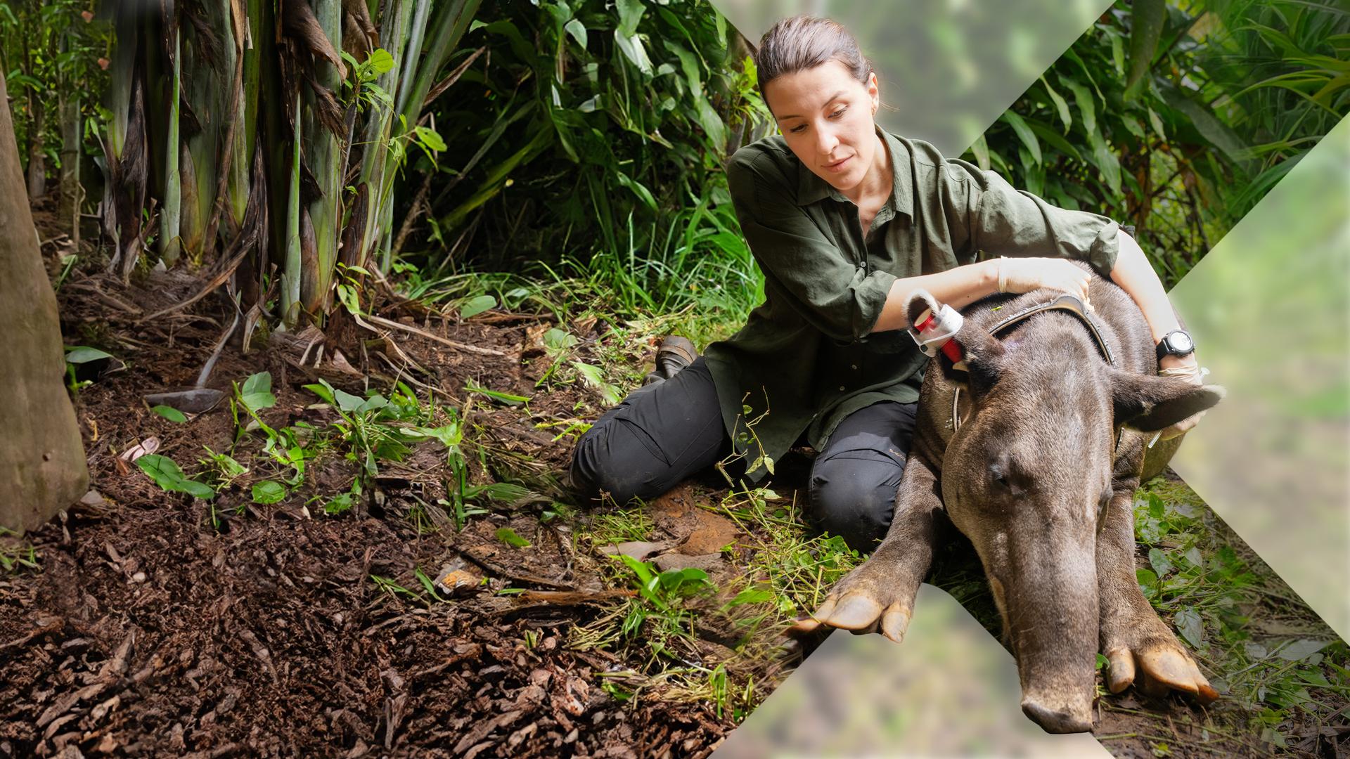 Bild für Costa Rica - Das pure Leben