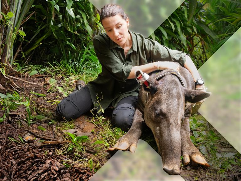 Costa Rica - Das pure Leben?