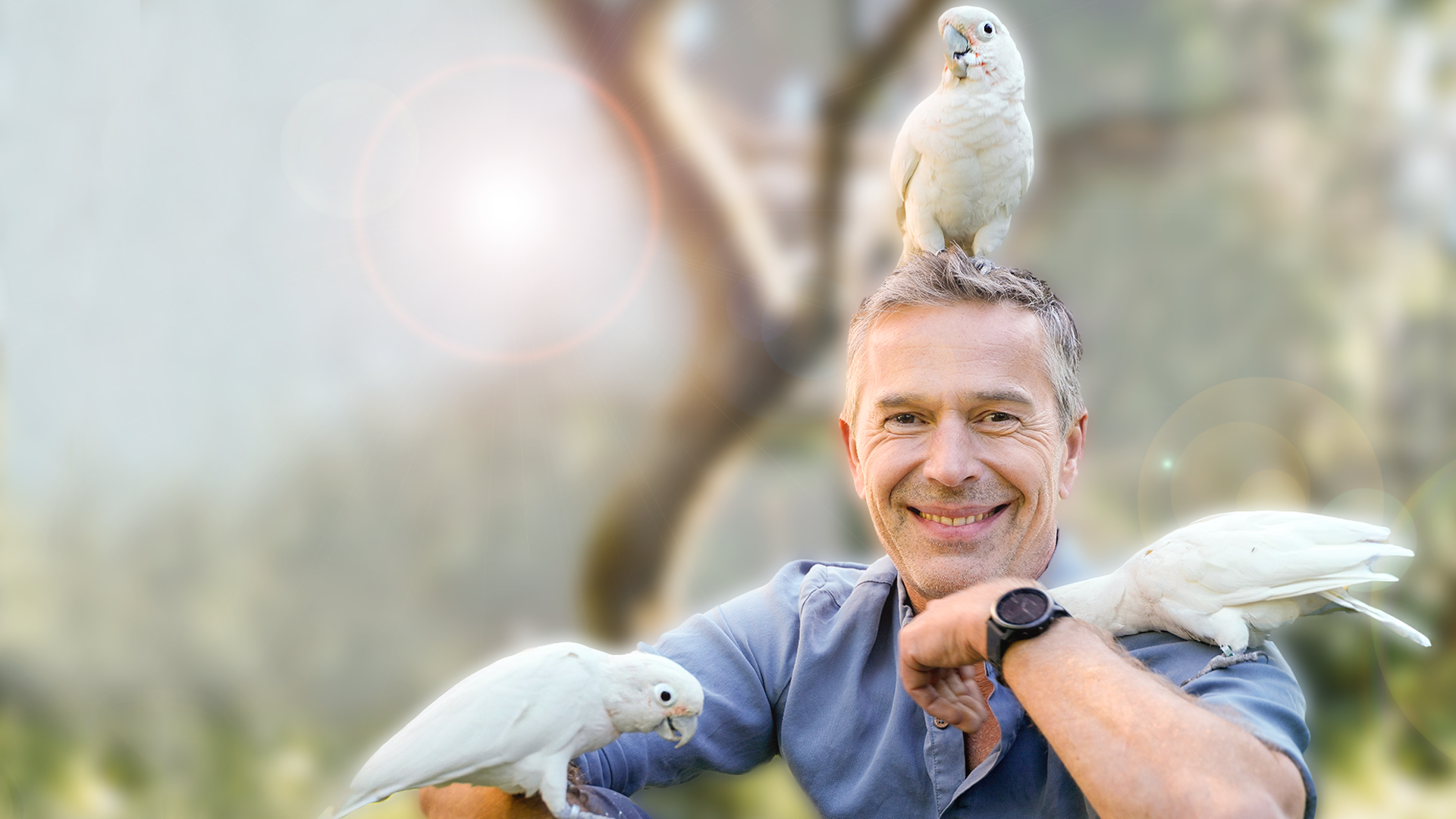 Dirk Steffens mit drei weißen Kakadus auf Schultern und Kopf