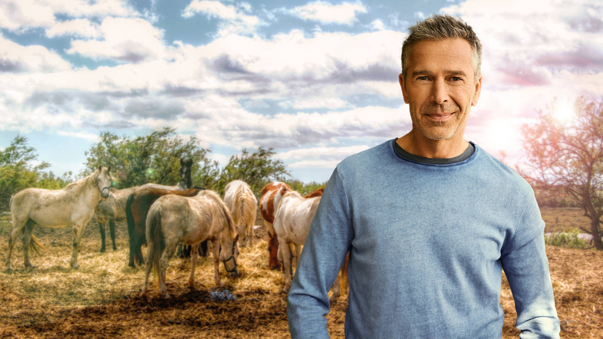 Dirk Steffens auf einem Feld vor Pferden.