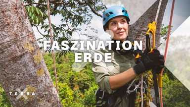Faszination Erde