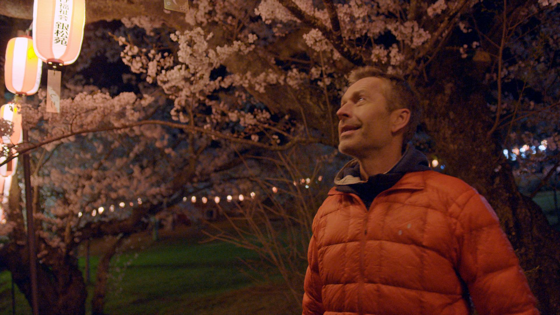 Dirk Steffens nachts unter blühenden Kirschbäumen mit Lampions