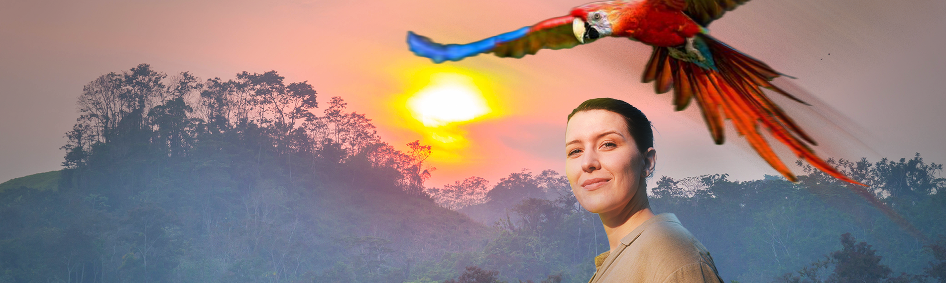 Montage: Hannah Emde vor Dschungel mit Ara