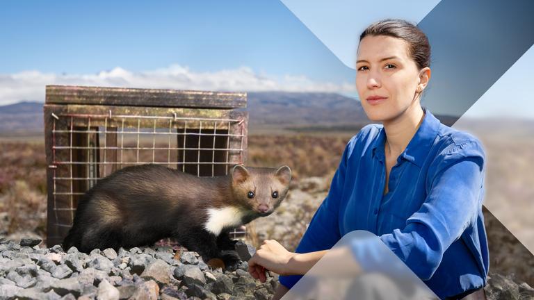 Neuseeland - Lizenz zum Töten