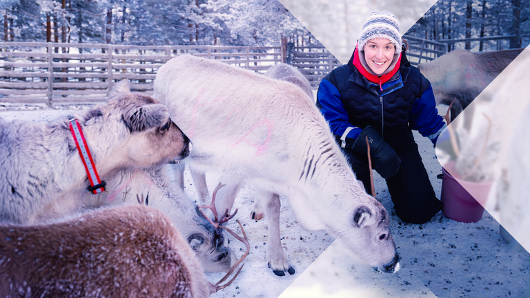 Finnland - Suche nach dem Glück