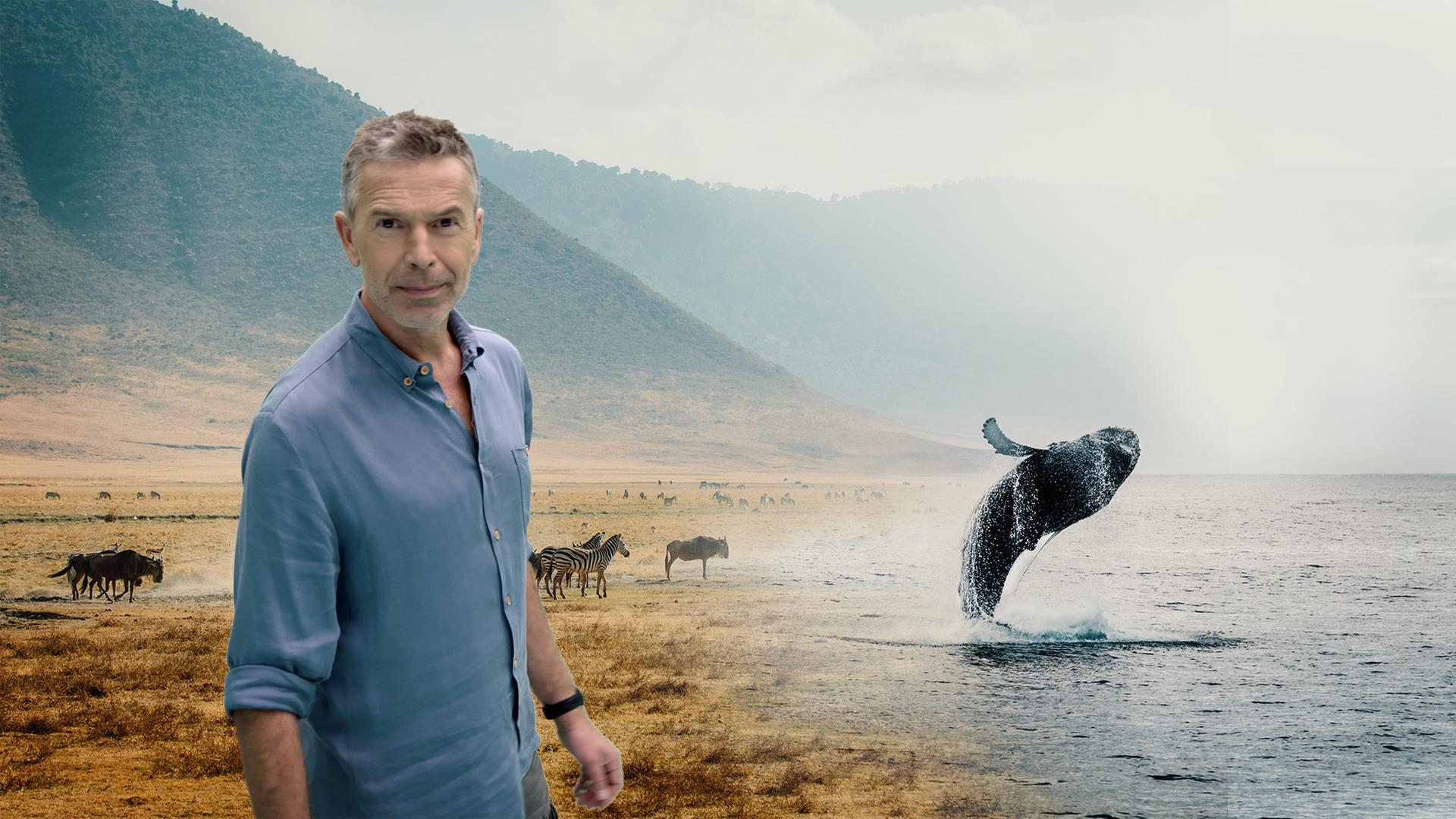 Symbolbild zu "Terra X - Faszination Erde: Überleben – Planet im Wandel"