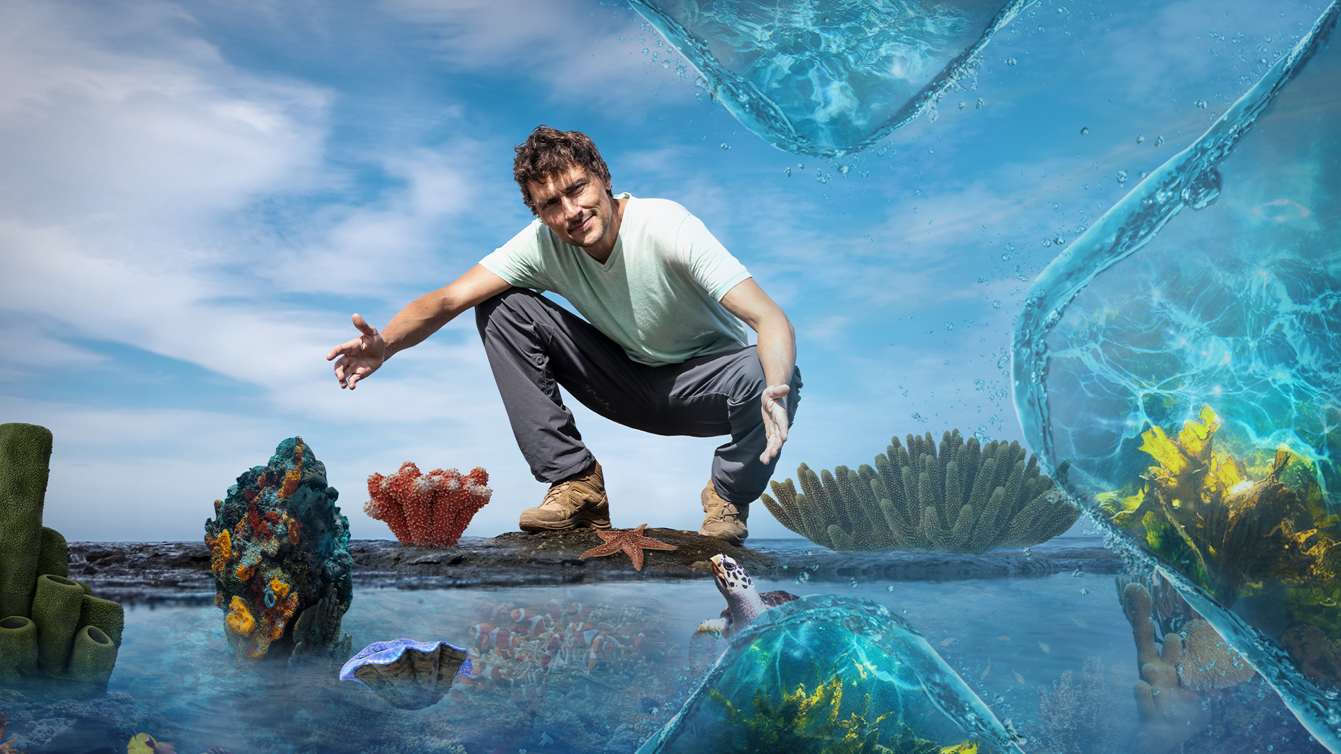 Uli Kunz kniet vor einem Wasserbecken mit Korallen und einer Schildkröte