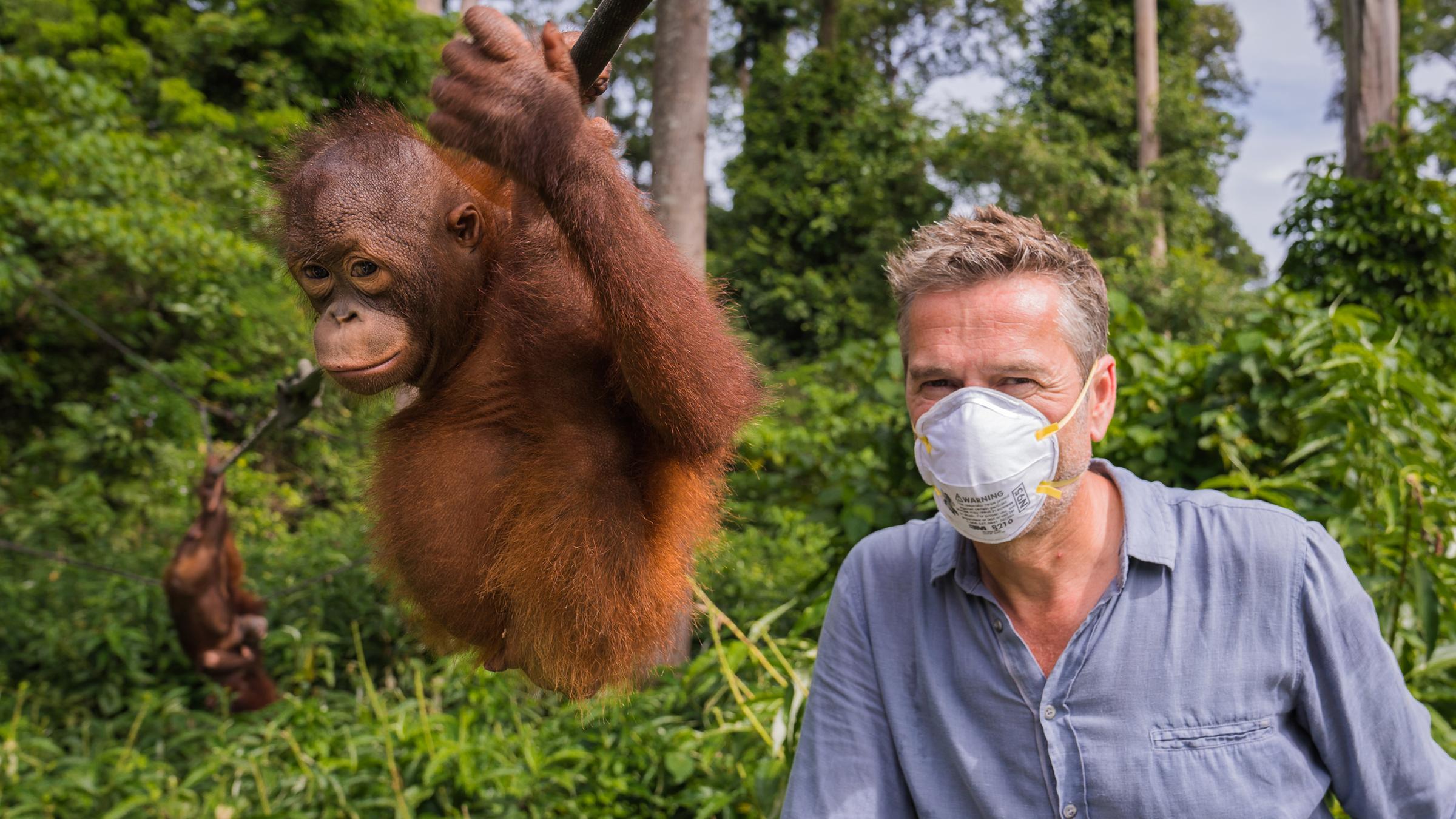 Terra X - Faszination Erde: Der Malaiische Archipel - Orang-Utan