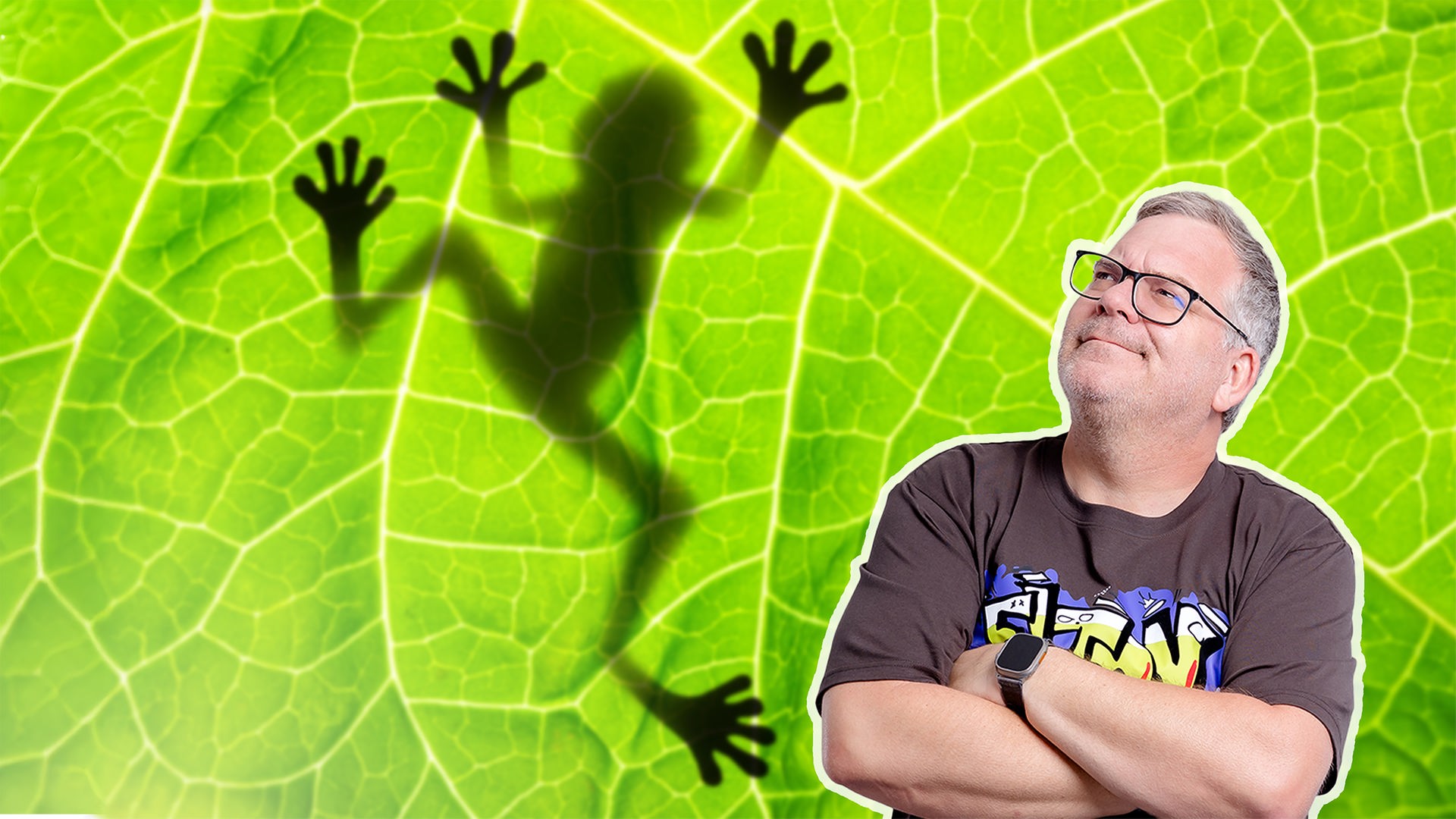 Auf einem hellgrünen Blatt ist die Silhouette eines Frosches zu sehen. Rechts blickt Elton mit verschränkten Armen nach oben.