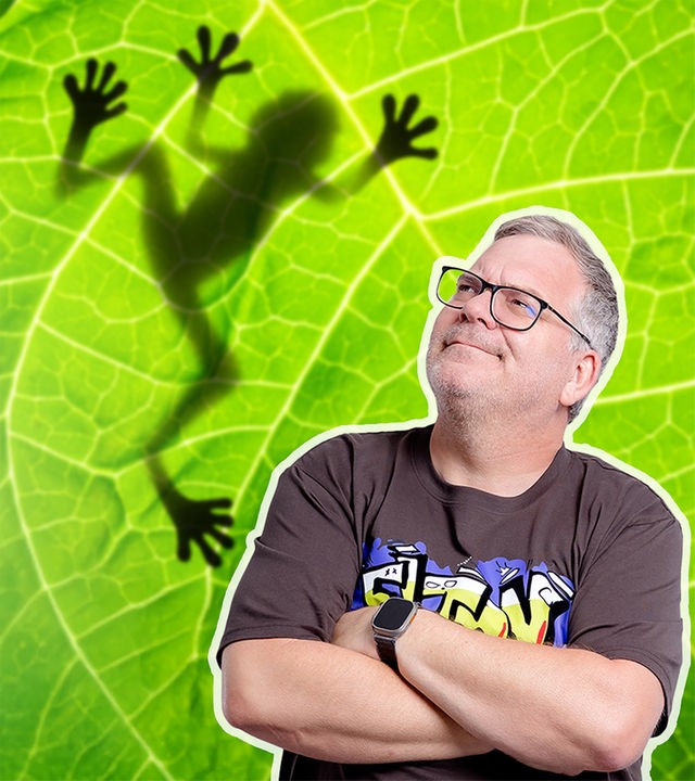 Auf einem hellgrünen Blatt ist die Silhouette eines Frosches zu sehen. Rechts blickt Elton mit verschränkten Armen nach oben.