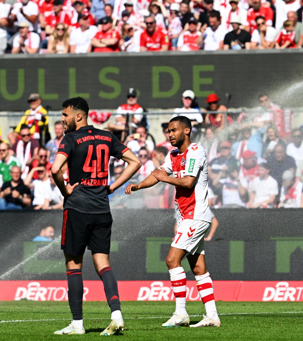 Bayerns Noussair Mazraoui (l) und Kölns Linton Maina reagieren während ein Rasensprinkler während des Spiels angeht