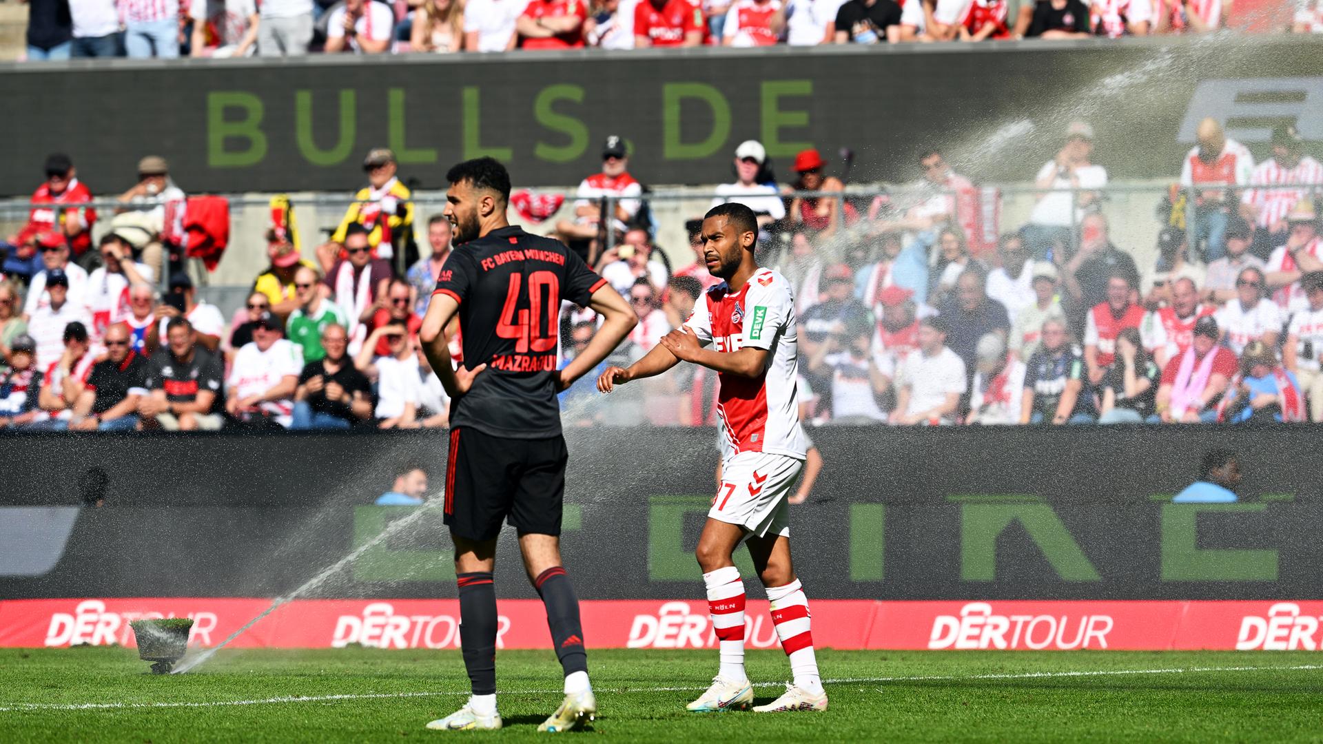 Bayerns Noussair Mazraoui (l) und Kölns Linton Maina reagieren während ein Rasensprinkler während des Spiels angeht
