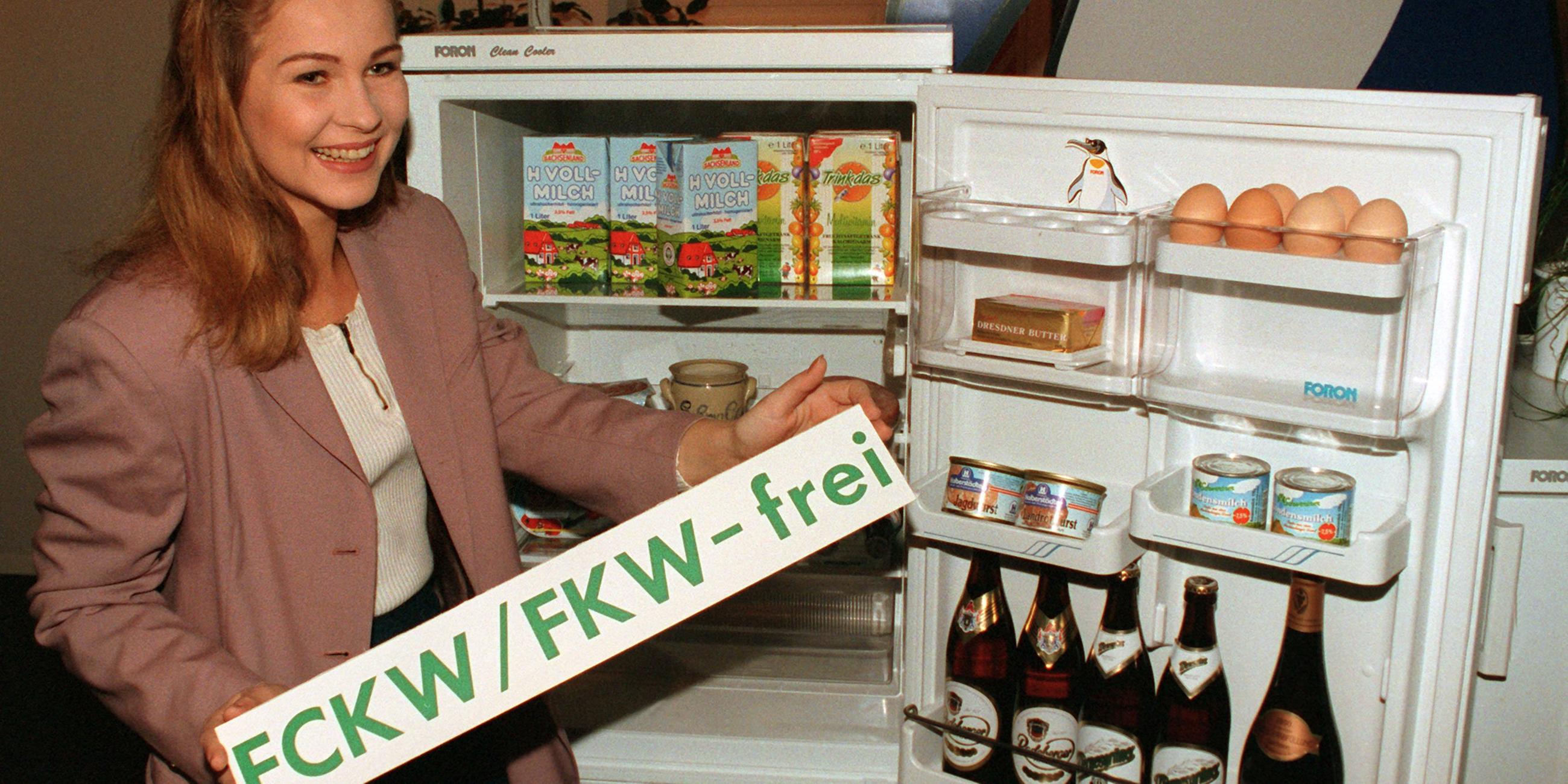 FCKW-freier Kühlschrank, Archivbild