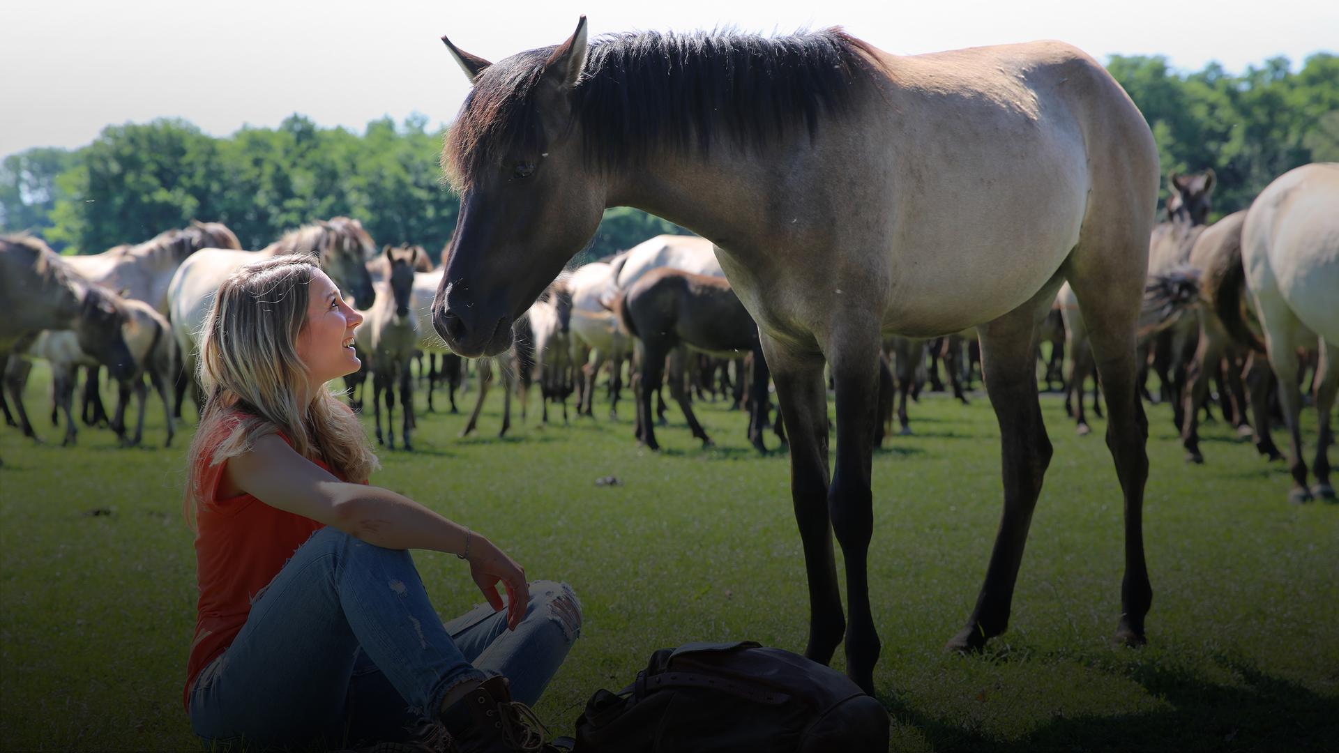 Faszination Deutschland mit Jasmina Neudecker - Wildpferde