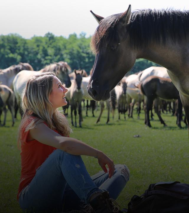 Faszination Deutschland mit Jasmina Neudecker - Wildpferde