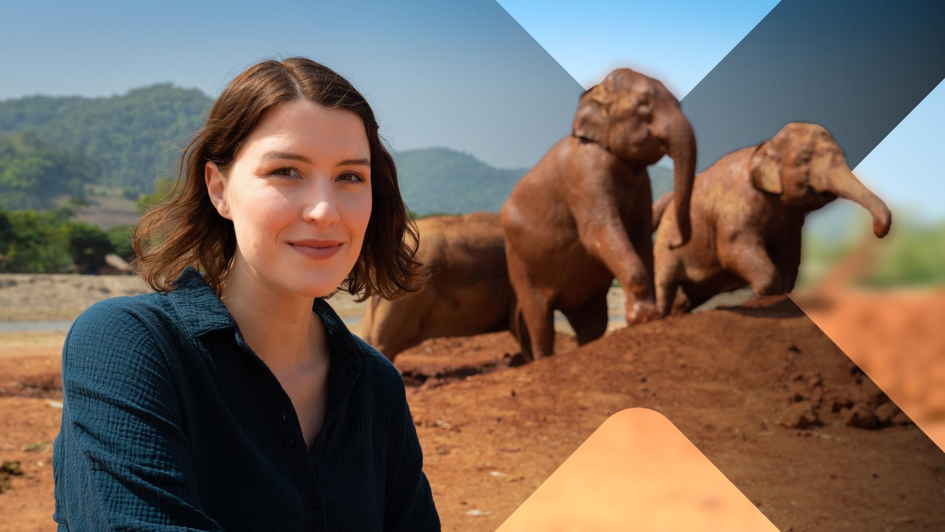 Hannah Emde sitzt vor zwei Elefanten in Thailand