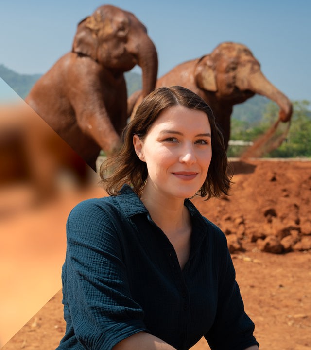 Hannah Emde sitzt vor zwei Elefanten in Thailand