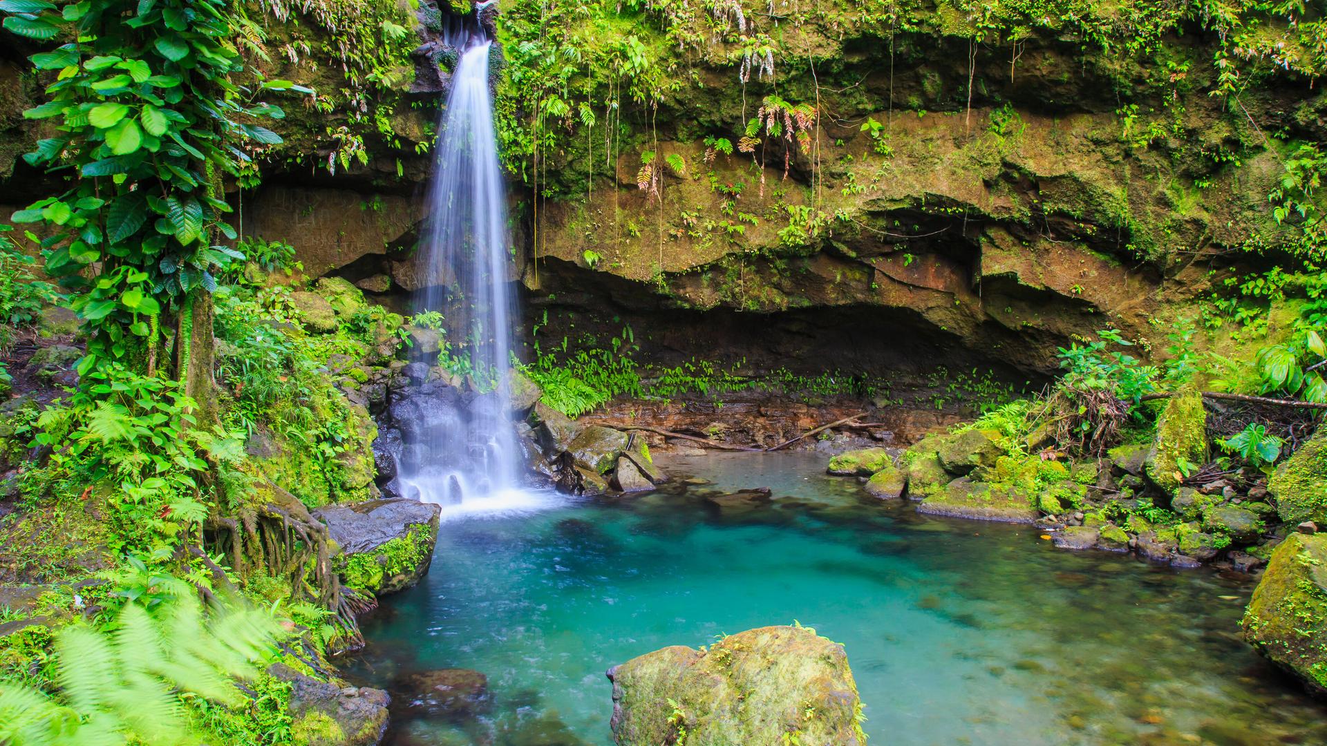 Emerald Pool im Regenwald auf der Insel Dominica