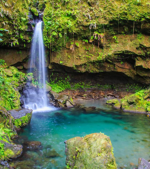 Emerald Pool im Regenwald auf der Insel Dominica