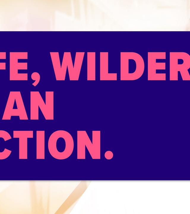 Auf einem violetten Plakat steht in fetten pinken Großbuchstaben geschrieben Life, wilder than fiction. 
