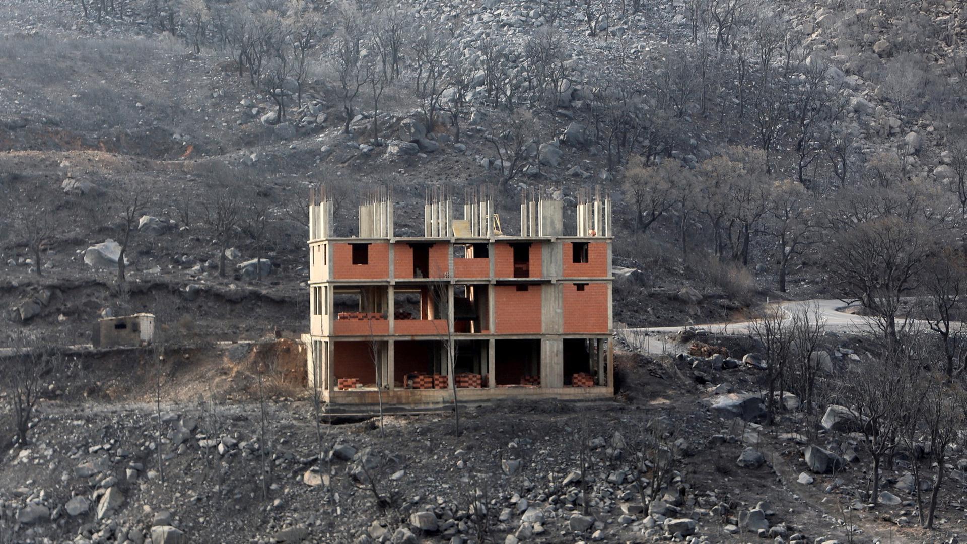 Inmitten verbrannter Bäume haben die Flammen nur den Rohbau eines Hauses zurückgelassen in Bejaia, Algerien.