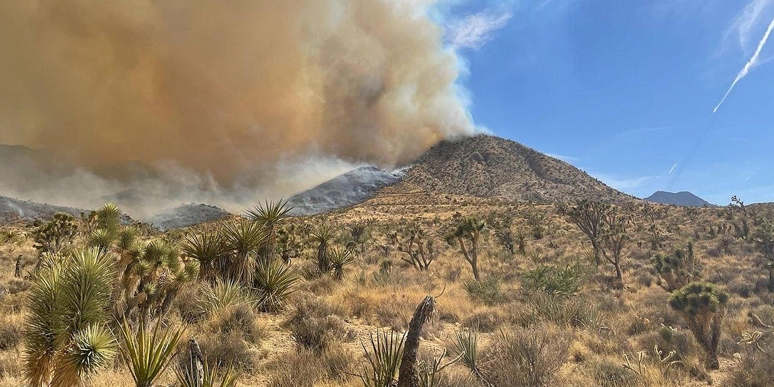 Ein gewaltiger Waldbrand hat sich in der in der Mojave-Wüste ausgebreitet