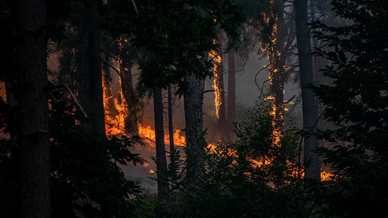 Blick auf den Waldbrand nahe der Charca de la Nieta in Piedralaves, Spanien.